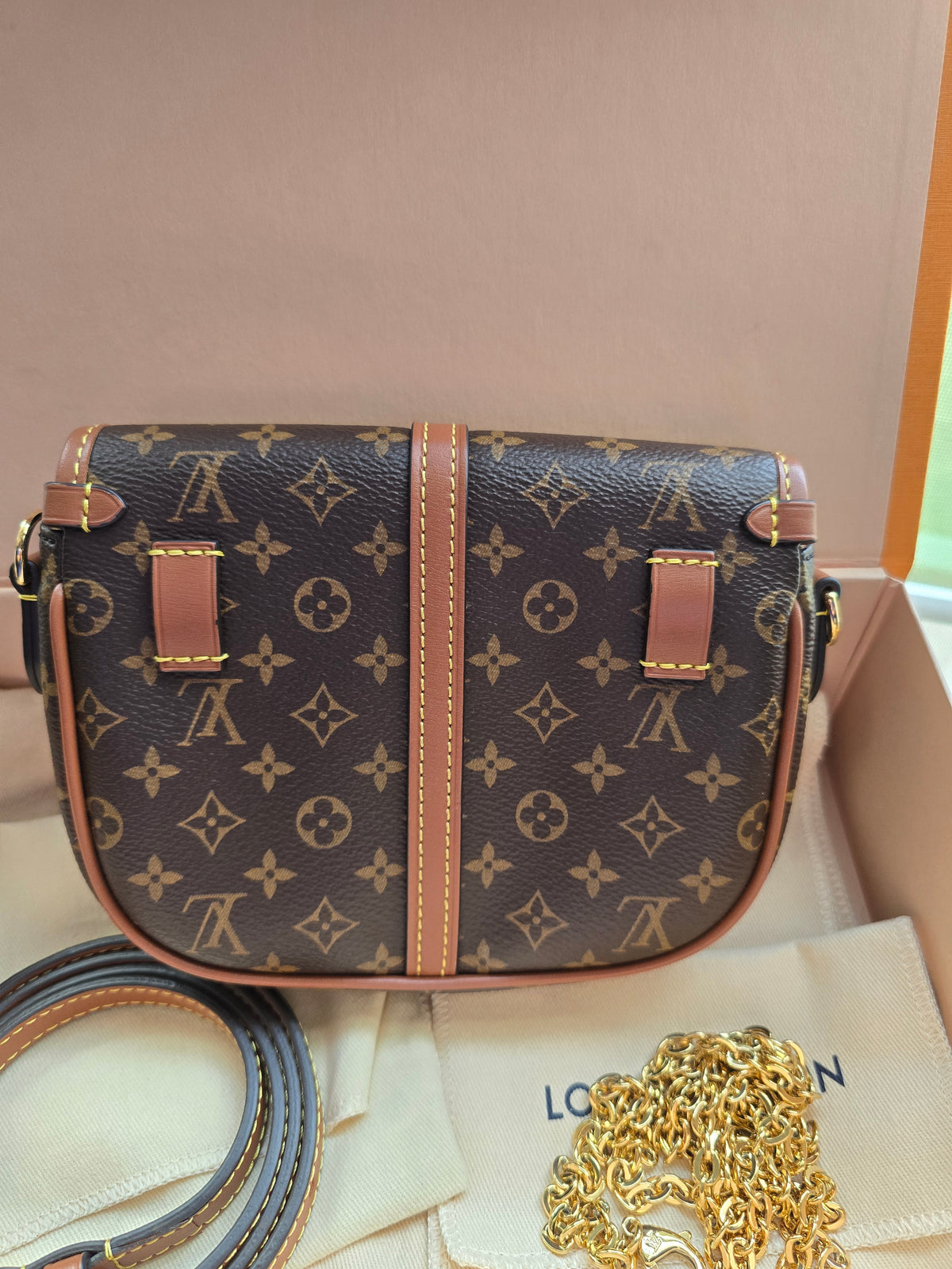 Louis Vuitton Monogram Solo 2-Way Bag