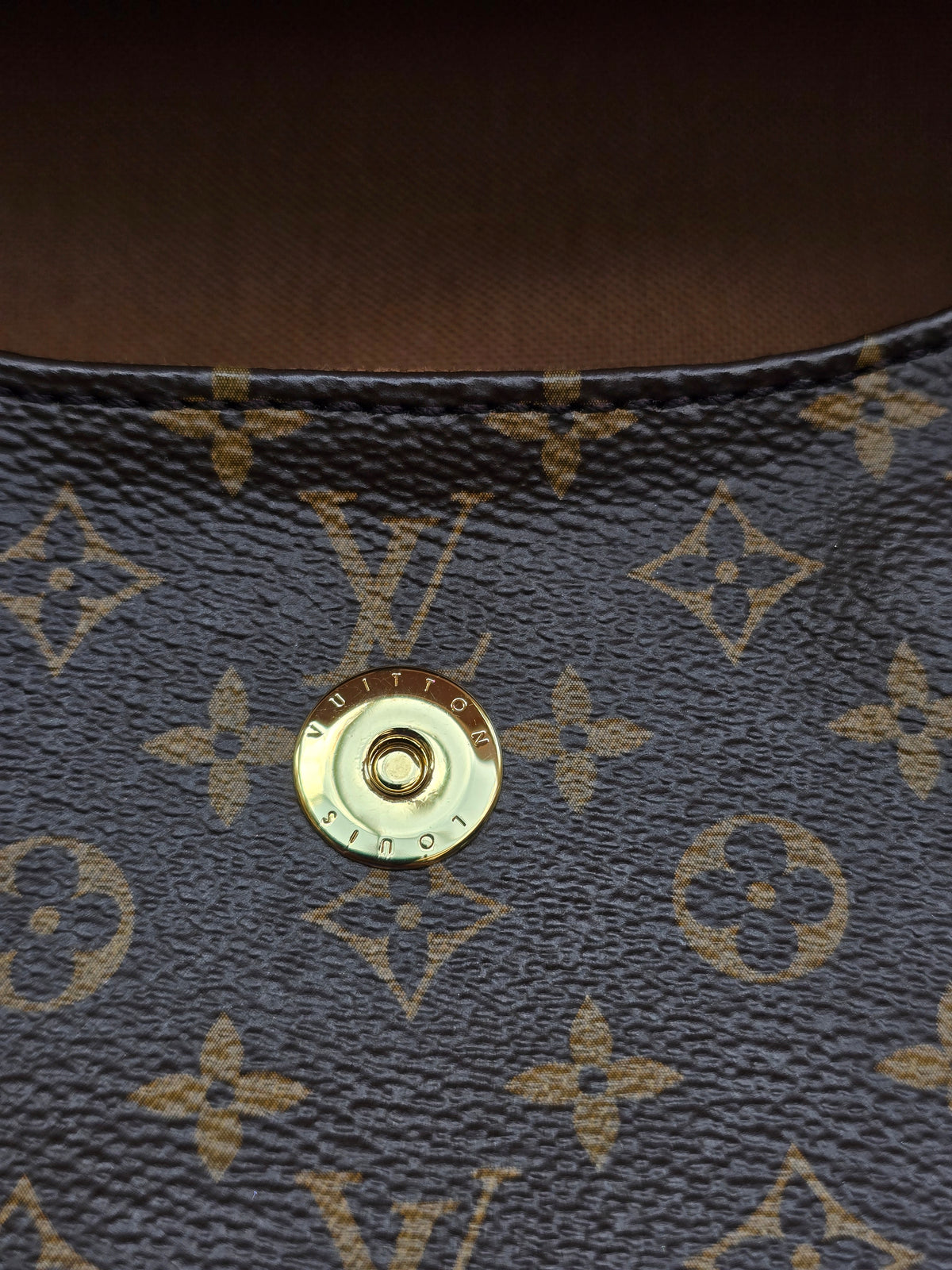 Louis Vuitton Monogram Solo 2-Way Bag