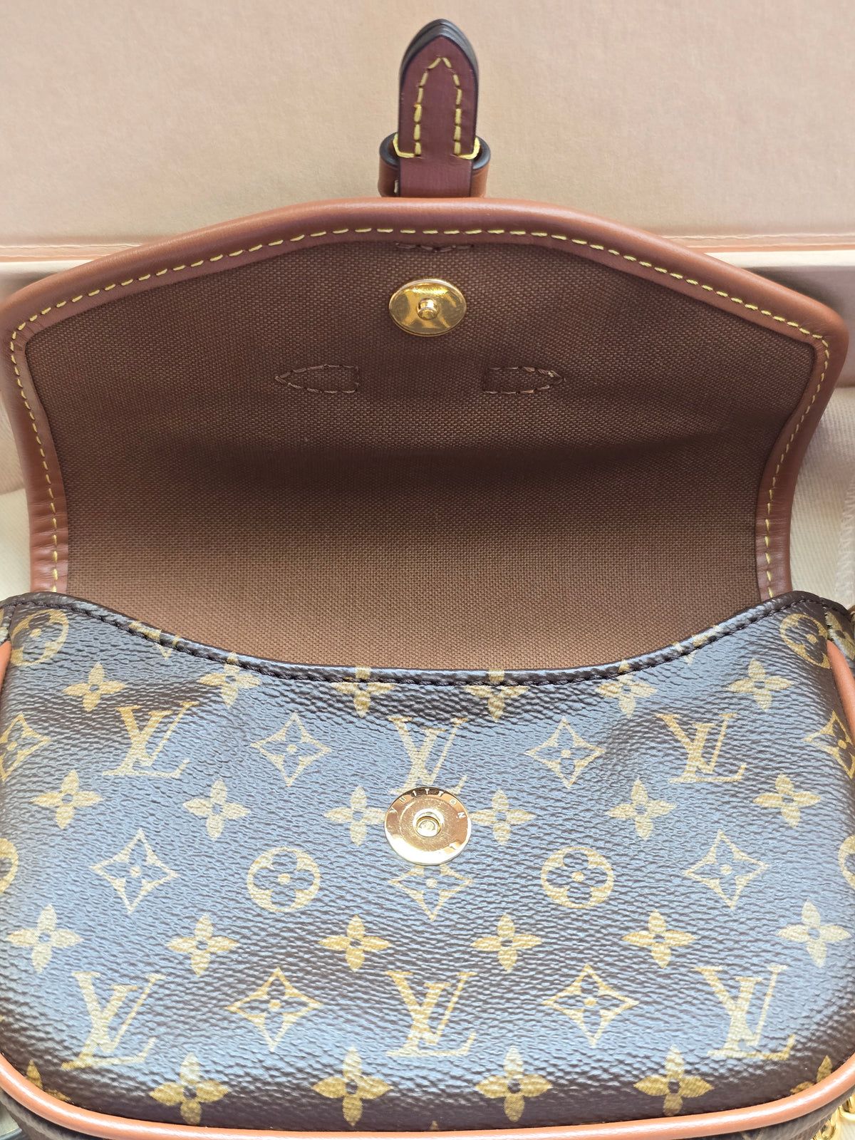 Louis Vuitton Monogram Solo 2-Way Bag