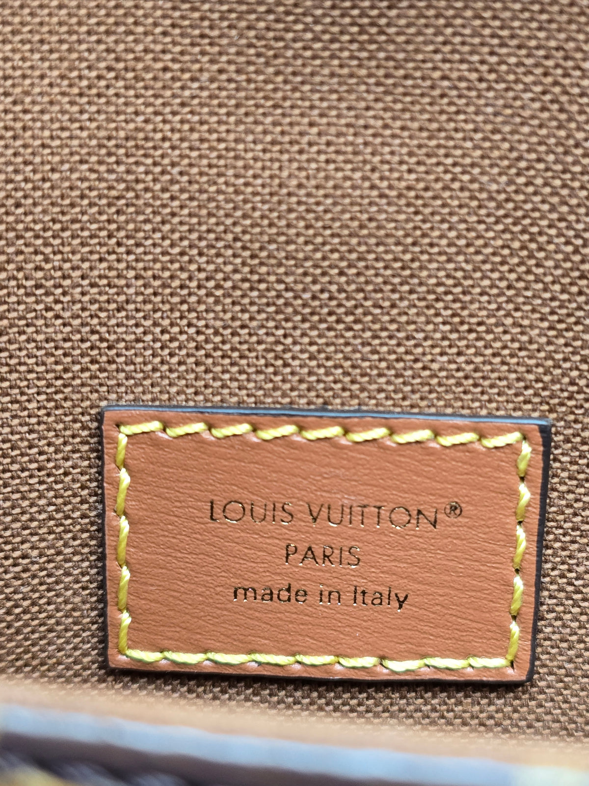 Louis Vuitton Monogram Solo 2-Way Bag