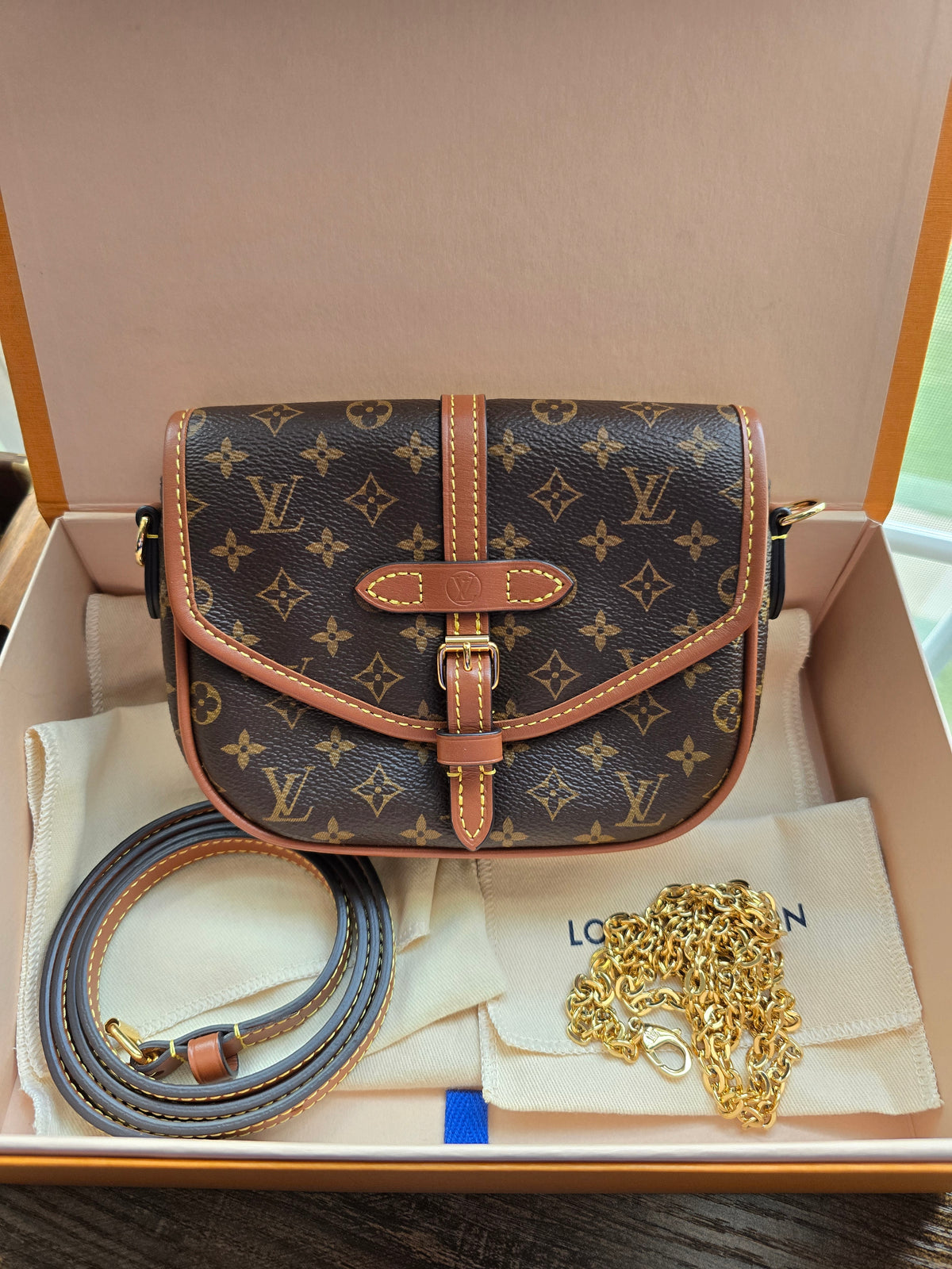 Louis Vuitton Monogram Solo 2-Way Bag