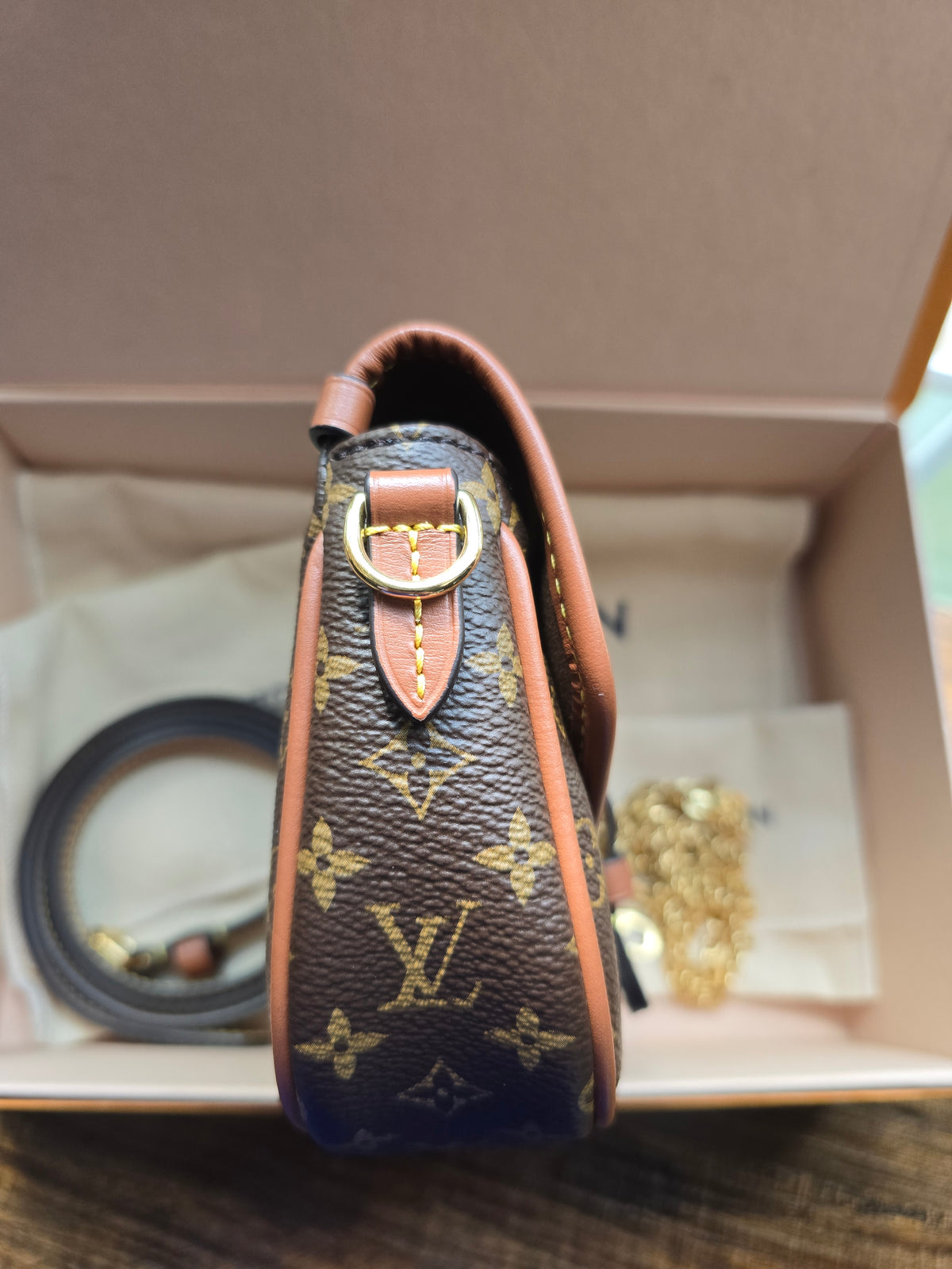 Louis Vuitton Monogram Solo 2-Way Bag